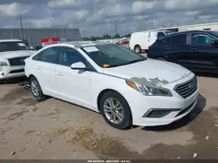 5NPE24AFXGH313452 2016 HYUNDAI SONATA