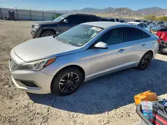 5NPE24AFXGH317047 2016 HYUNDAI SONATA