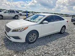 5NPE24AFXGH318649 2016 HYUNDAI SONATA