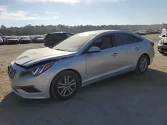 5NPE24AFXGH318845 2016 HYUNDAI SONATA
