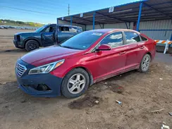 5NPE24AFXGH319008 2016 HYUNDAI SONATA