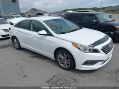 5NPE24AFXGH324564 2016 HYUNDAI SONATA