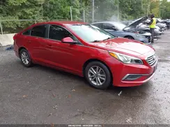 5NPE24AFXGH328503 2016 HYUNDAI SONATA