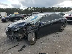5NPE24AFXGH340991 2016 HYUNDAI SONATA