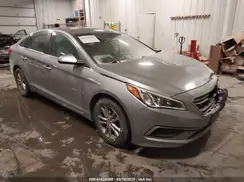 5NPE24AFXGH344894 2016 HYUNDAI SONATA