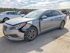 5NPE24AFXGH349402 2016 HYUNDAI SONATA