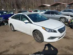 5NPE24AFXGH351554 2016 HYUNDAI SONATA