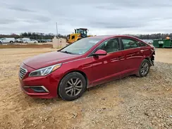 5NPE24AFXGH356172 2016 HYUNDAI SONATA