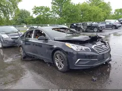 5NPE24AFXGH357693 2016 HYUNDAI SONATA