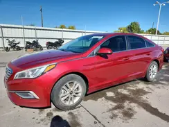 5NPE24AFXGH363977 2016 HYUNDAI SONATA
