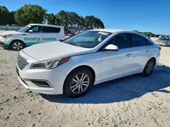 5NPE24AFXGH364191 2016 HYUNDAI SONATA