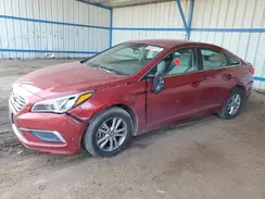 5NPE24AFXGH371951 2016 HYUNDAI SONATA