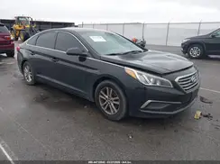 5NPE24AFXGH376504 2016 HYUNDAI SONATA