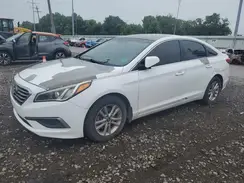 5NPE24AFXGH385249 2016 HYUNDAI SONATA