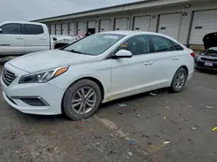 5NPE24AFXGH386482 2016 HYUNDAI SONATA