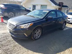 5NPE24AFXGH390001 2016 HYUNDAI SONATA