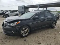 5NPE24AFXGH390984 2016 HYUNDAI SONATA
