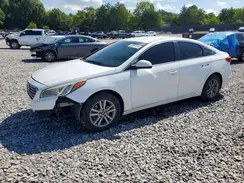 5NPE24AFXGH394825 2016 HYUNDAI SONATA