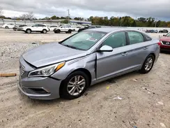 5NPE24AFXGH396560 2016 HYUNDAI SONATA