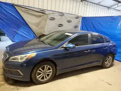 5NPE24AFXGH401448 2016 HYUNDAI SONATA