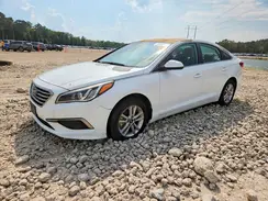 5NPE24AFXGH404592 2016 HYUNDAI SONATA