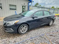 5NPE24AFXGH404902 2016 HYUNDAI SONATA