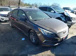 5NPE24AFXGH407332 2016 HYUNDAI SONATA