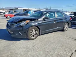 5NPE24AFXGH407363 2016 HYUNDAI SONATA