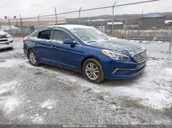 5NPE24AFXGH410215 2016 HYUNDAI SONATA