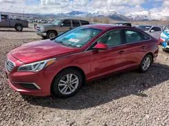 5NPE24AFXGH410229 2016 HYUNDAI SONATA