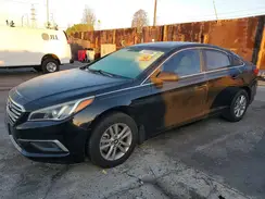 5NPE24AFXGH411462 2016 HYUNDAI SONATA