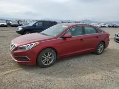5NPE24AFXGH416712 2016 HYUNDAI SONATA