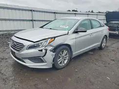 5NPE24AFXGH422445 2016 HYUNDAI SONATA