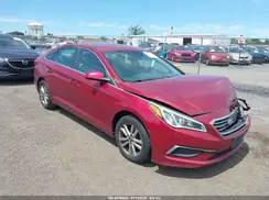 5NPE24AFXGH428245 2016 HYUNDAI SONATA