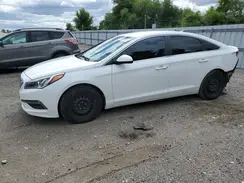 5NPE24AFXGH431680 2016 HYUNDAI SONATA