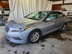 5NPE24AFXHH438002 2017 HYUNDAI SONATA