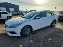 5NPE24AFXHH443376 2017 HYUNDAI SONATA