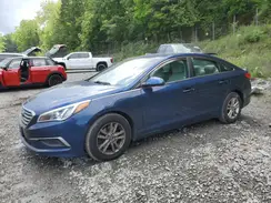 5NPE24AFXHH443720 2017 HYUNDAI SONATA