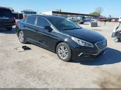 5NPE24AFXHH449114 2017 HYUNDAI SONATA