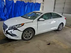 5NPE24AFXHH465586 2017 HYUNDAI SONATA