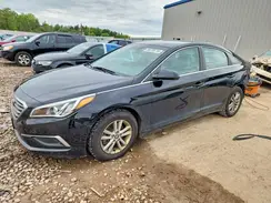 5NPE24AFXHH467175 2017 HYUNDAI SONATA