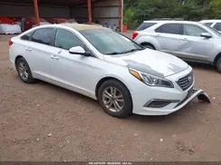 5NPE24AFXHH487328 2017 HYUNDAI SONATA