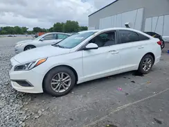5NPE24AFXHH492450 2017 HYUNDAI SONATA