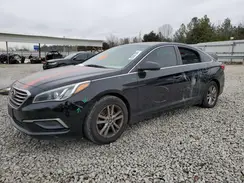 5NPE24AFXHH494229 2017 HYUNDAI SONATA