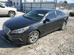5NPE24AFXHH496174 2017 HYUNDAI SONATA
