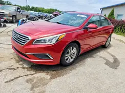5NPE24AFXHH499558 2017 HYUNDAI SONATA