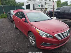 5NPE24AFXHH501230 2017 HYUNDAI SONATA