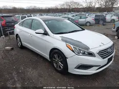 5NPE24AFXHH502166 2017 HYUNDAI SONATA