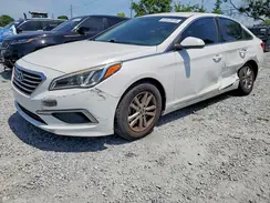 5NPE24AFXHH504127 2017 HYUNDAI SONATA