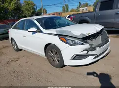 5NPE24AFXHH505987 2017 HYUNDAI SONATA